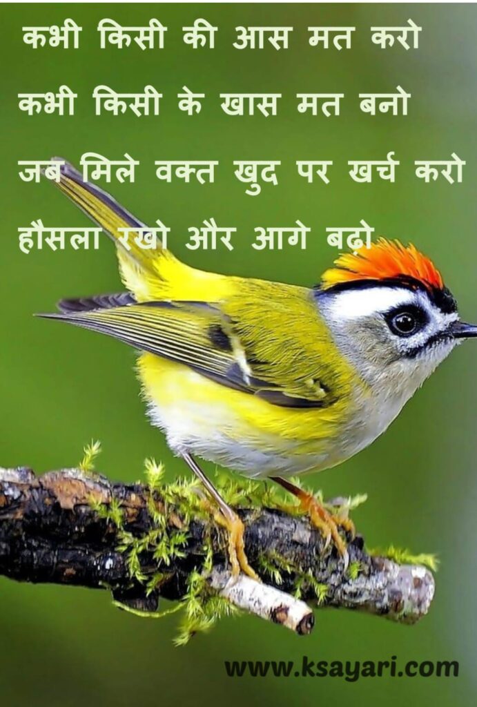 Honsla Inspirational Shayari, 
 Honsla Inspirational poetry